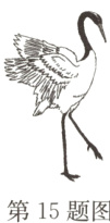 第15题图