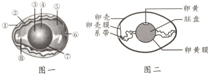 卵黄膜图二图一