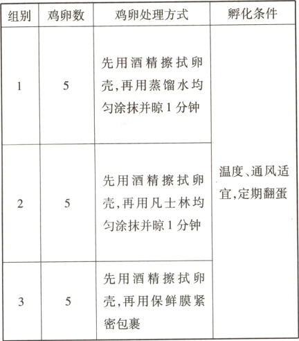壳再用保鲜膜紧密包裹
