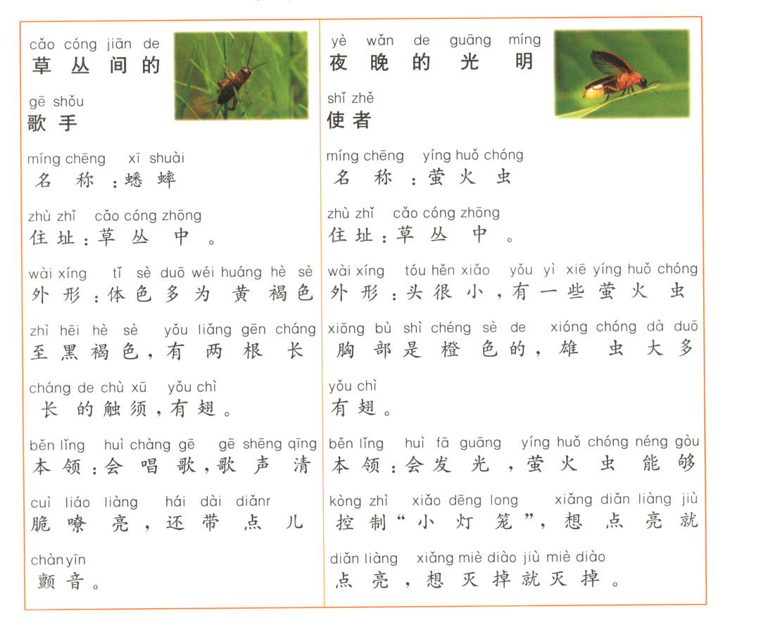 点亮想灭掉就灭掉颤音