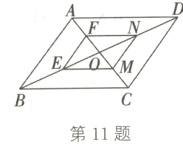 第11题