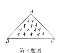 第6题图
