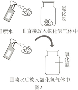 III喷水后放入氯化氢气体中图2