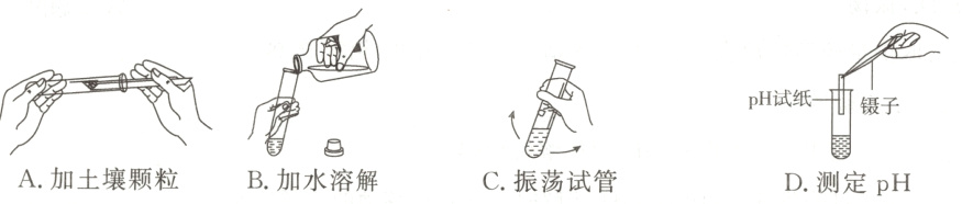 A加土壤颗粒B加水溶解C振荡试管D测定pH