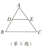 第6题