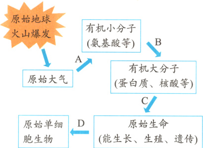 原始生命原始单细能生长生殖遗传胞生物