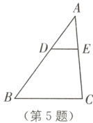 第5题