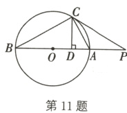 第11题