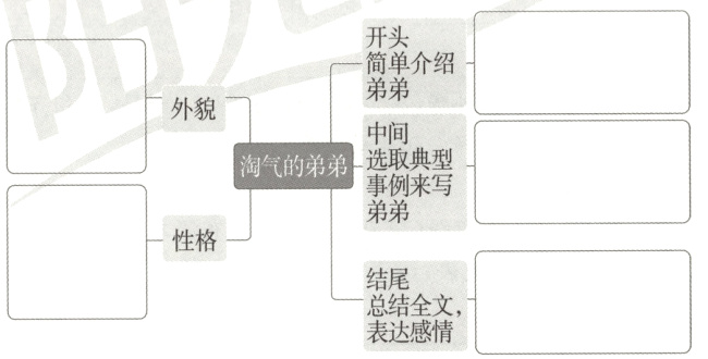 总结全文表达感情