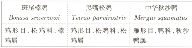 鸡属鸡属鸭属