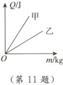 m/kg第11题