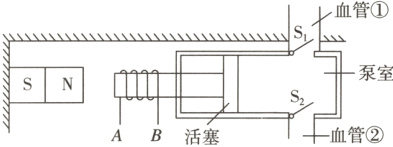 SNS2血管②AB活塞