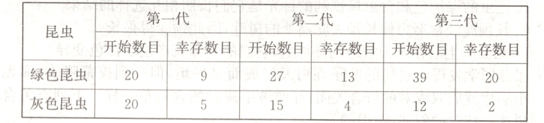 271339灰色昆虫152012