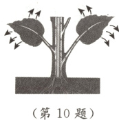 第10题