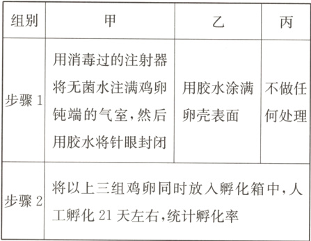 步骤2工孵化21天左右统计孵化率