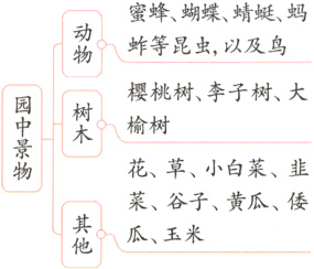 菜谷子黄瓜倭瓜玉米