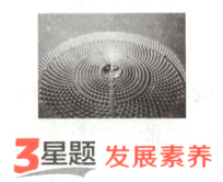 3星题发展素养