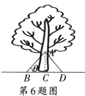 BCD第6题图