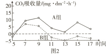 B组−557B组1x315一i7时间图2