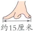 约15厘米