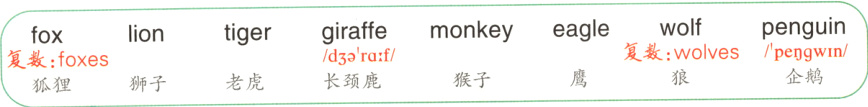 peeenguin复数wwlfveS长d33r复数foxes企鹅猴子老虎狮子狐狸