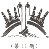 第11题