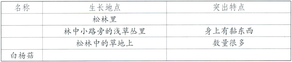 数量很多松林中的草地上白杨菇