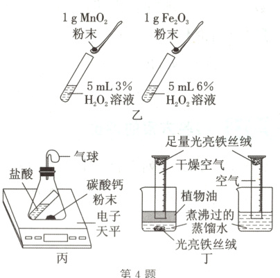 天平光亮铁丝绒第4题