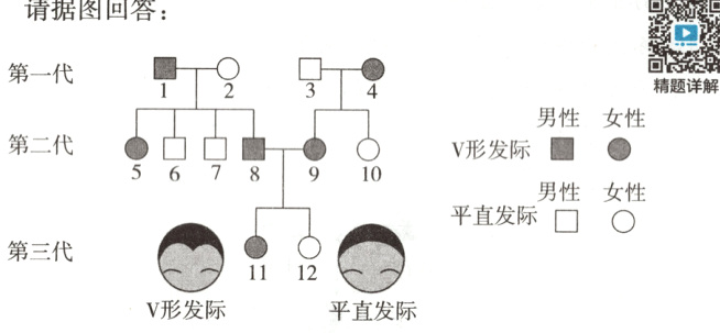 1112V形发际平直发际