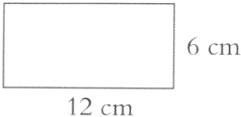 12cm