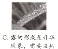C露的形成是升华现象 需要吸热
