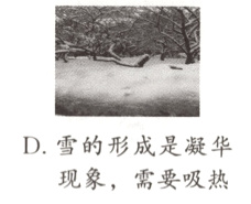 D雪的形成是凝华现象 需要吸热