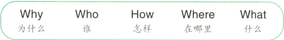 WhoHowWhereWhyWhat为什么怎样在哪里什么