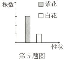 性状第5题图