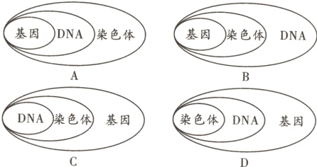 DA染色保染色保DNA基因基因
