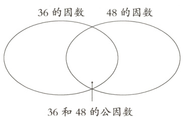 36和48的公因数