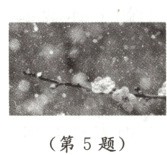 第5题