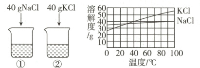 1g20020406080100温度/℃