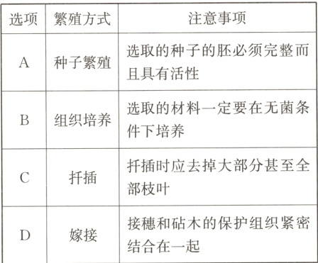 接穗和砧木的保护组织紧密嫁接结合在一起