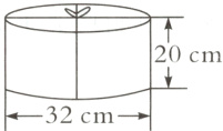 32cm