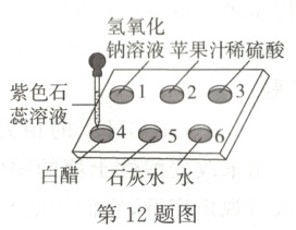 $\frac{4}{石}$$\frac{5}{水}$白醋第12题图