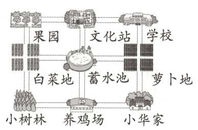 小树林养鸡场小华家