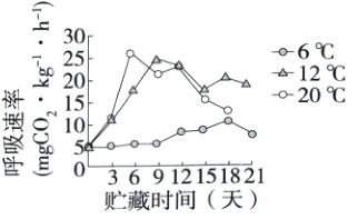 吸C呼三36912151821贮藏时间天