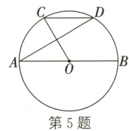 第5题