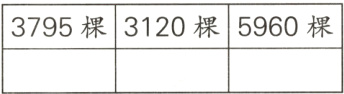 3795棵3120棵5960棵