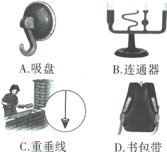 C重垂线D书包带