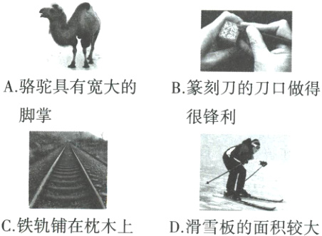 C铁轨铺在枕木上D滑雪板的面积较大