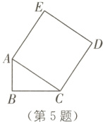 第5题