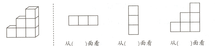 从面看从面看面看从