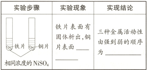 相同浓度的NiSO4
